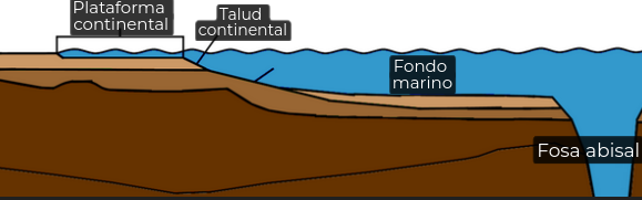 plataforma.png