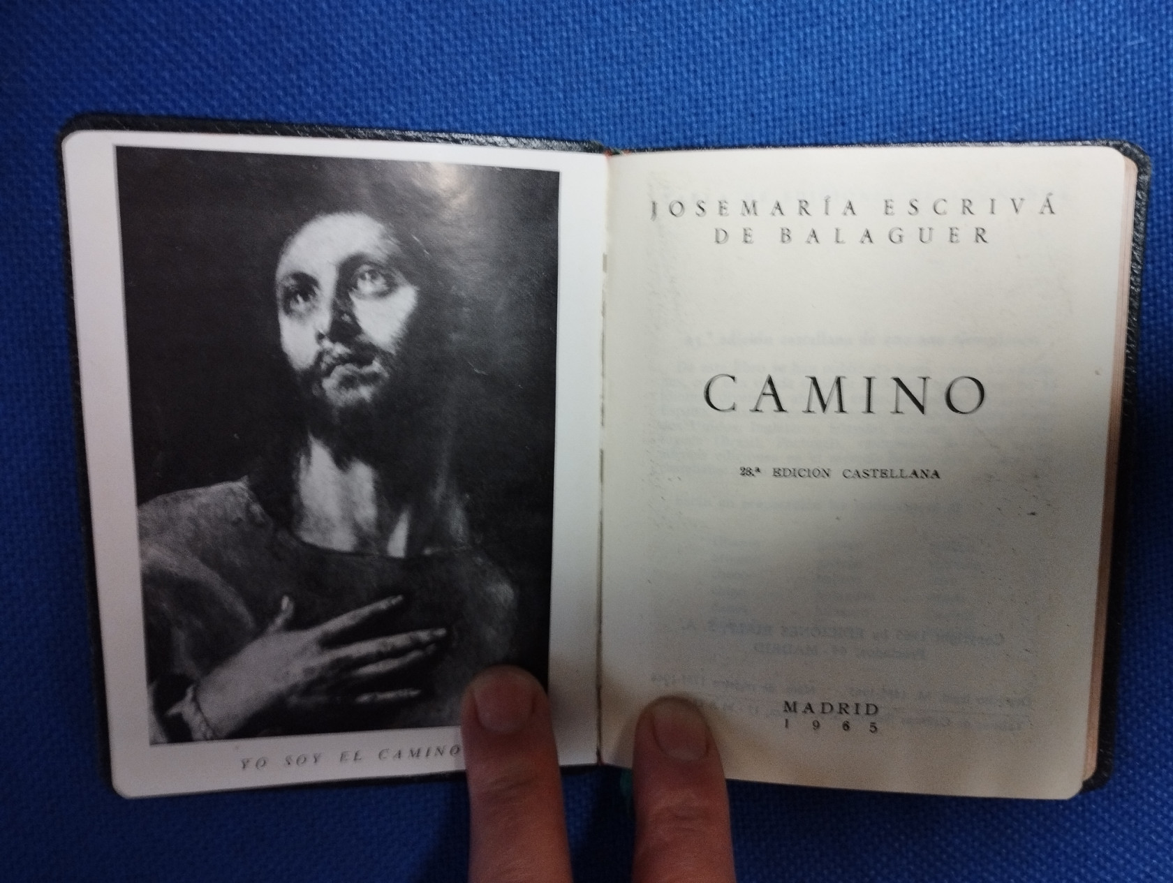 camino_escriva(1).jpg