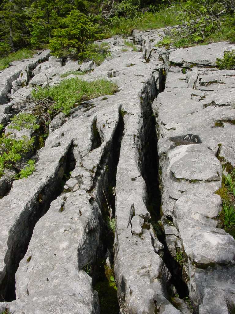 Lapiaz_Mont_Tendre02.jpeg