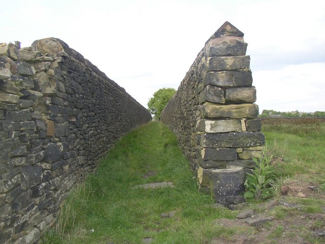 Footpath_at_Nab_End,Longwood-geograph.org.uk-_468589.jpeg