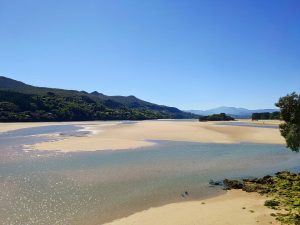 1440px-Marismas_del_esuario_del_rio_Oka_Urdaibai1-300x225.jpeg
