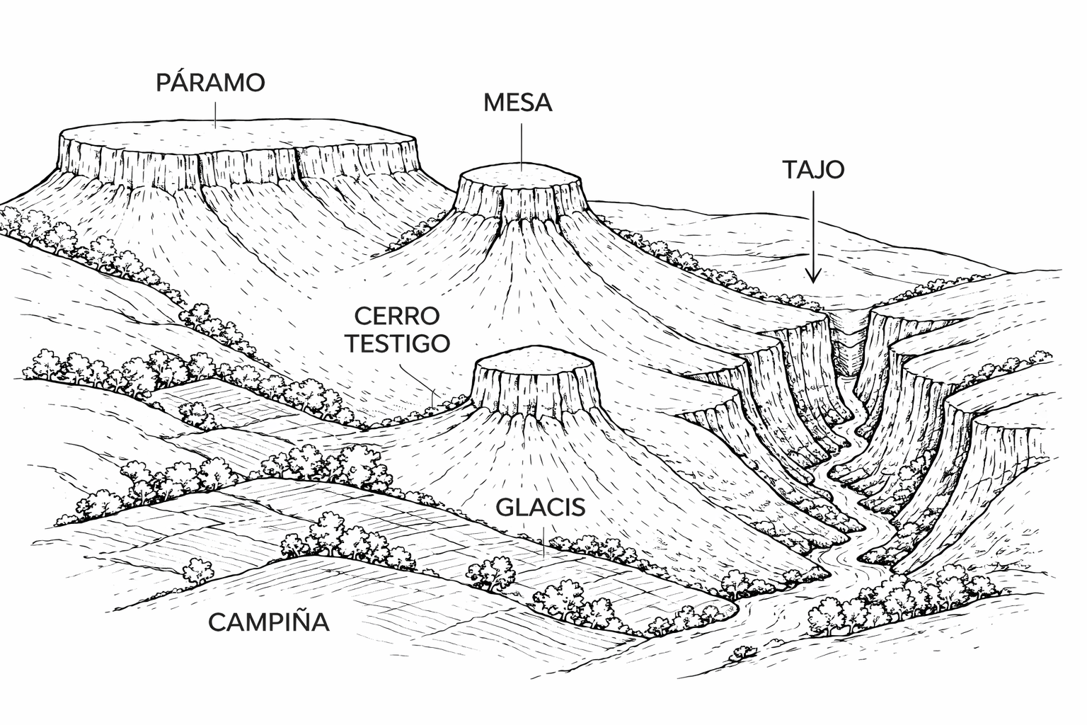 ChatGPT Image 25 de gen. de 2026, 16_09_17.png
