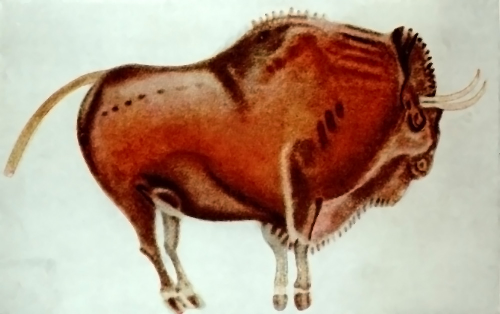 Reproducción en color de un bisonte policromado del techo de Altamira, con las patas recogidas