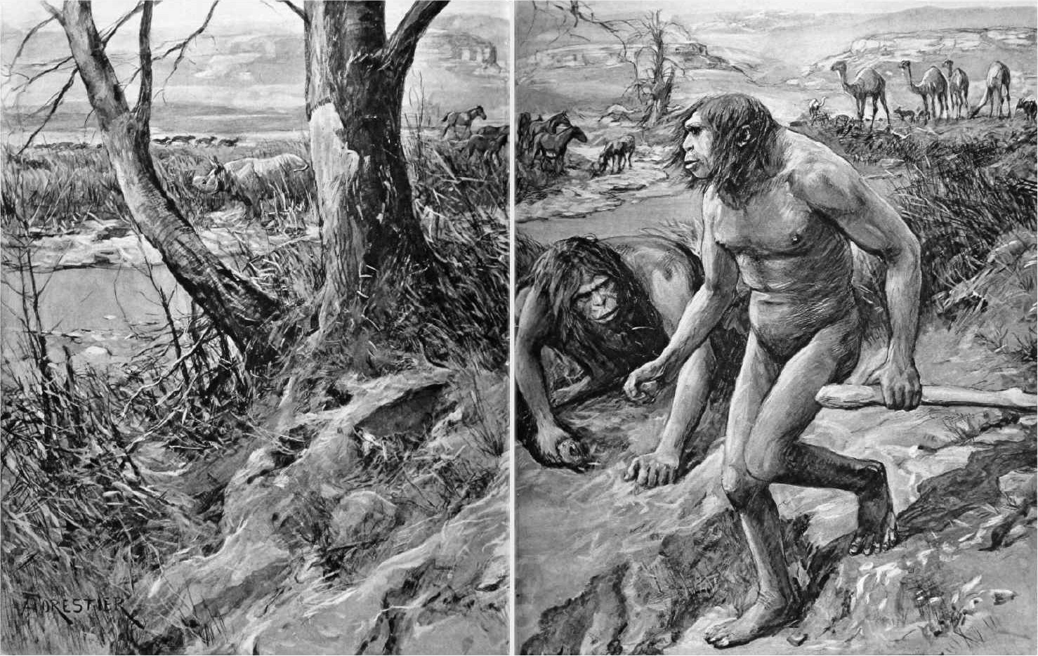 Ilustración de 1922 con una pareja de homínidos primitivos junto a una fogata en un paisaje prehistórico