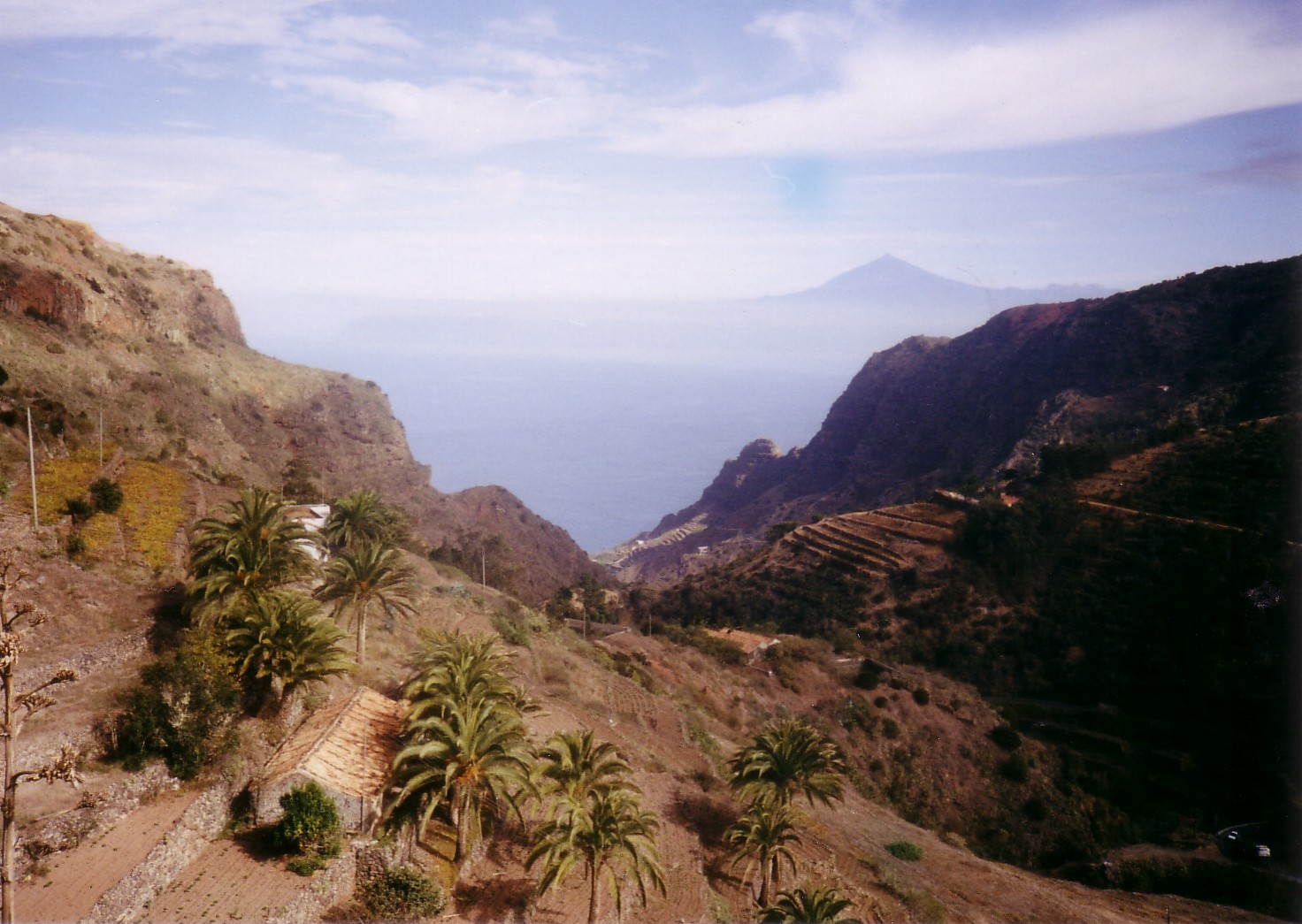 Paisaje montañoso de laderas escarpadas y secas que bajan hacia un valle con palmeras y bancales, con el mar y una isla montañosa entre la bruma al fondo